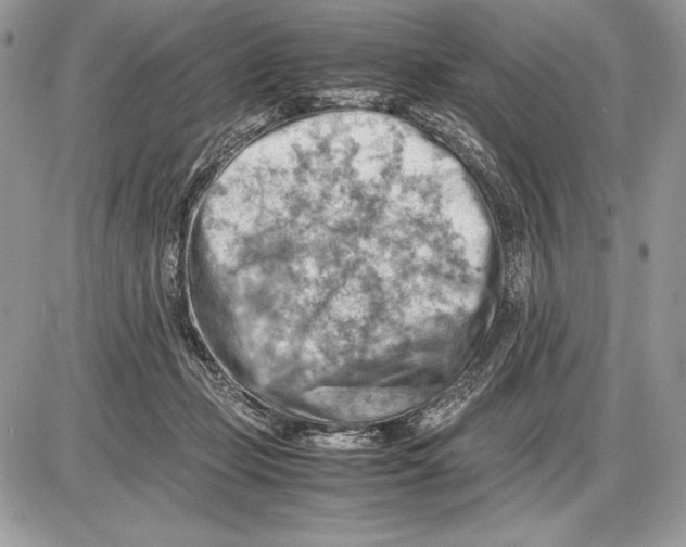 X0000085750365200704131717