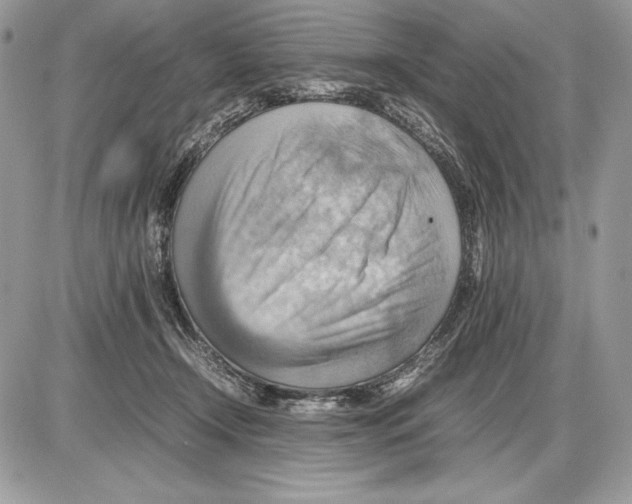 X0000085750366200704131717