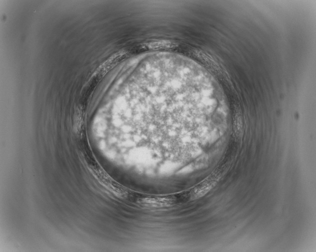 X0000085750367200704131717