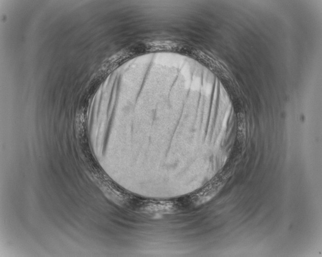 X0000085750369200704131717