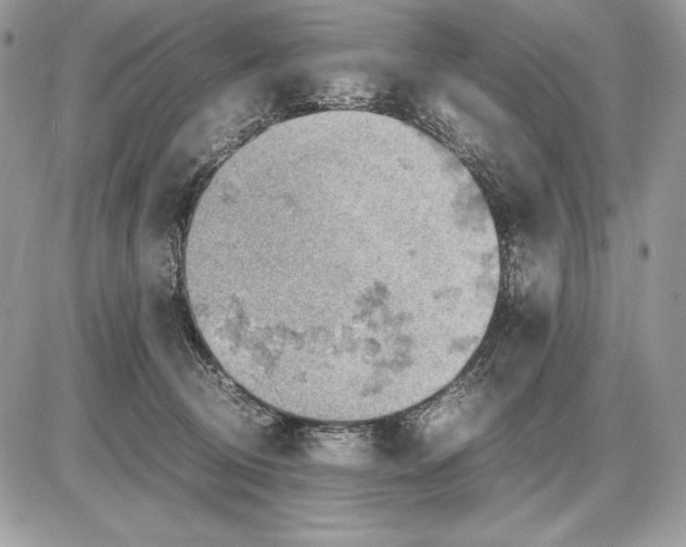 X0000085750370200704131718