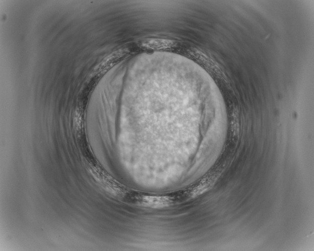 X0000085750371200704131718