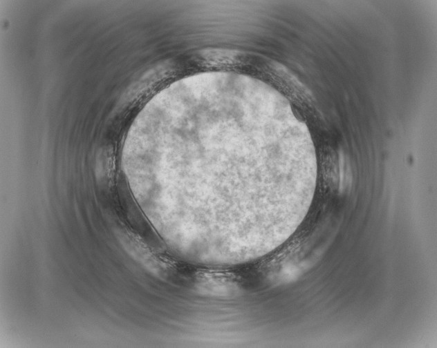 X0000085750372200704131718