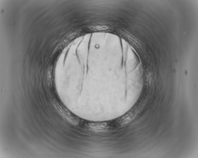 X0000085750373200704131718