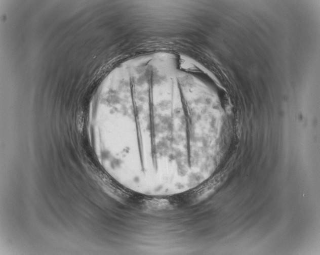 X0000085750374200704131718