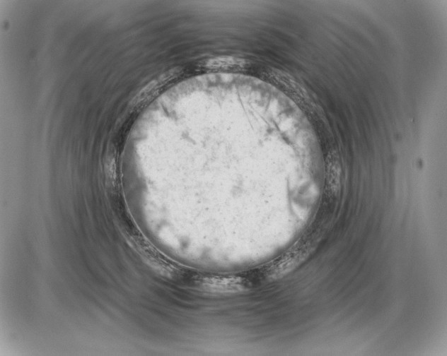 X0000085750375200704131718