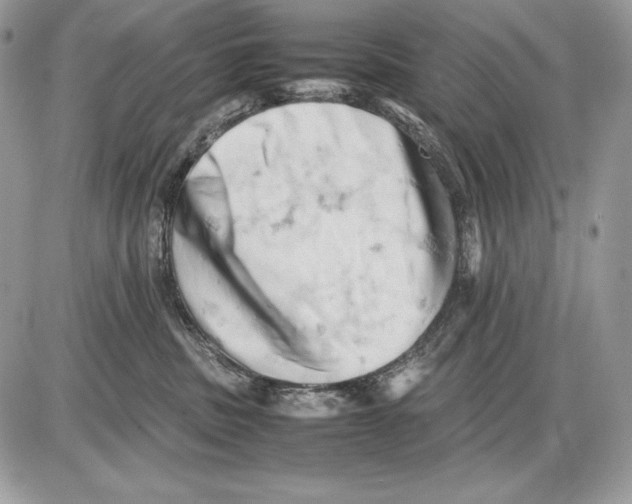 X0000085750379200704131718