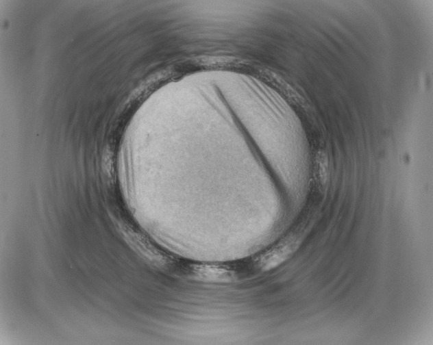 X0000085750380200704131718