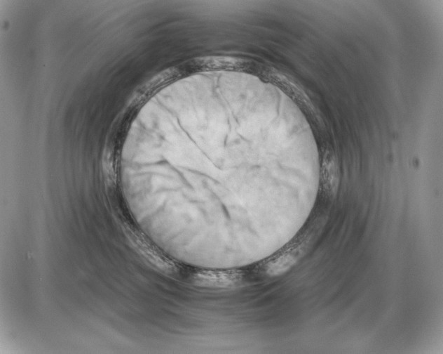 X0000085750381200704131718