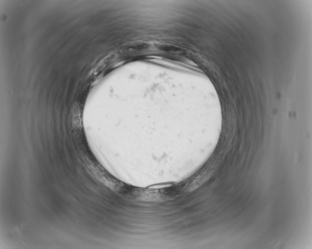 X0000085750384200704131718