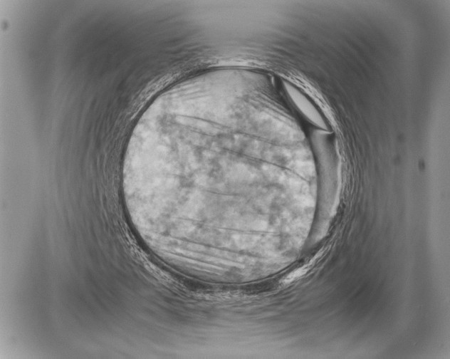 X0000085750385200704131717