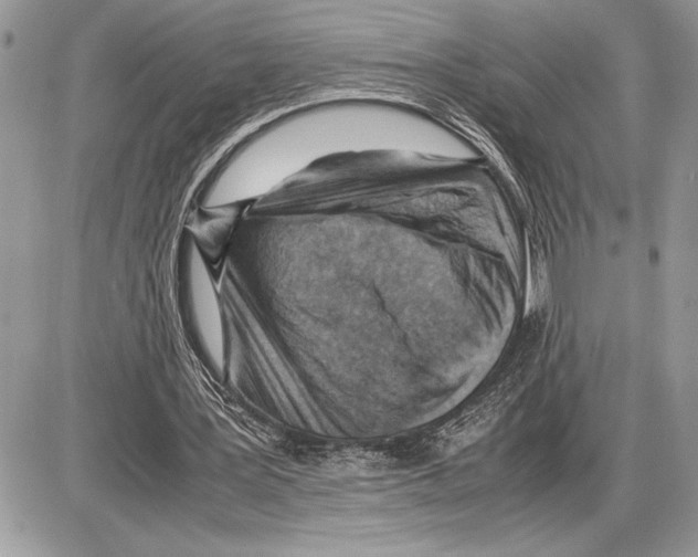 X0000085750387200704131717