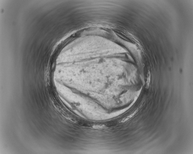 X0000085750388200704131717