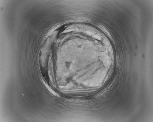 X0000085750389200704131717