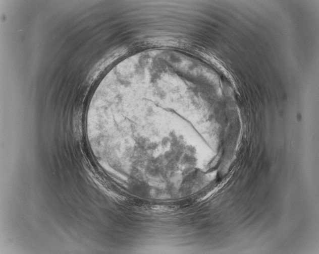 X0000085750390200704131717