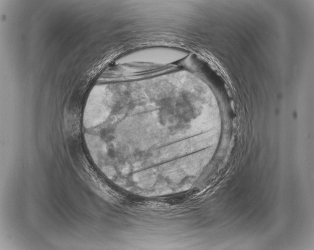 X0000085750393200704131717