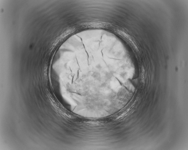 X0000085750394200704131717