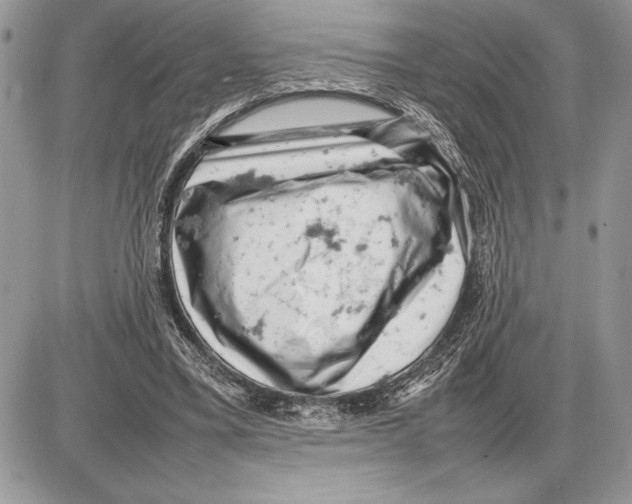 X0000085750395200704131717