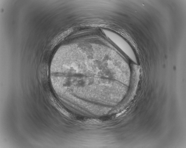 X0000085750397200704131717