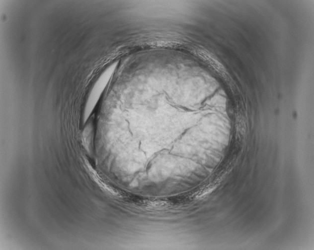 X0000085750401200704131717