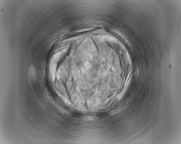 X0000085750402200704131717