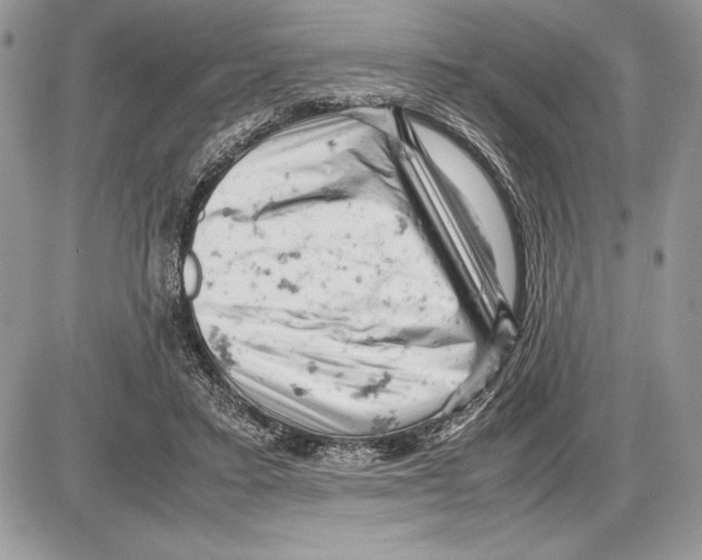 X0000085750403200704131717