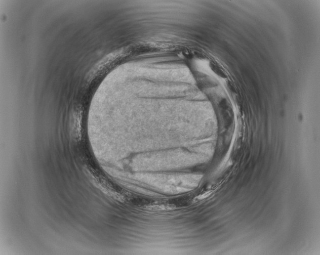 X0000085750404200704131717