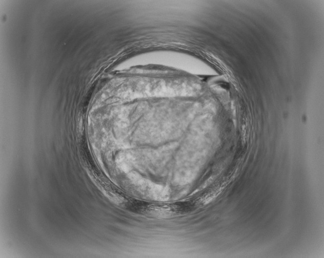 X0000085750405200704131717