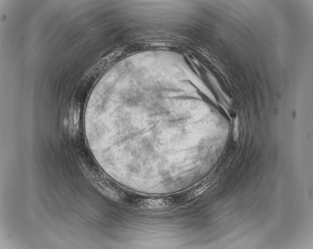 X0000085750406200704131717