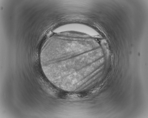 X0000085750407200704131717