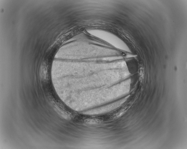 X0000085750408200704131717