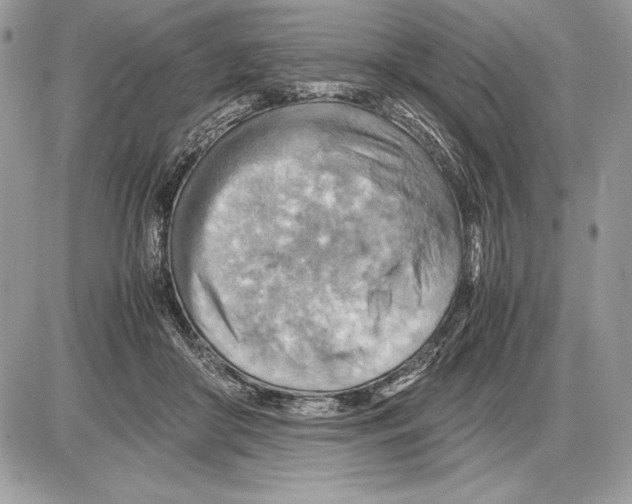 X0000085750410200704131716