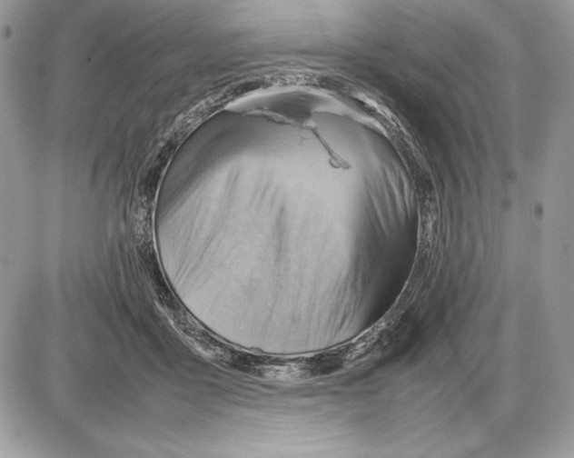 X0000085750411200704131716