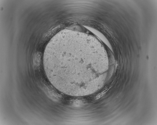 X0000085750412200704131716