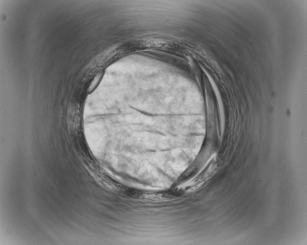 X0000085750413200704131716