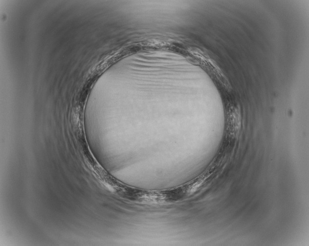 X0000085750415200704131716