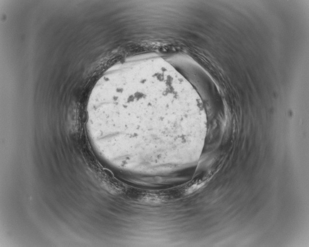 X0000085750416200704131716