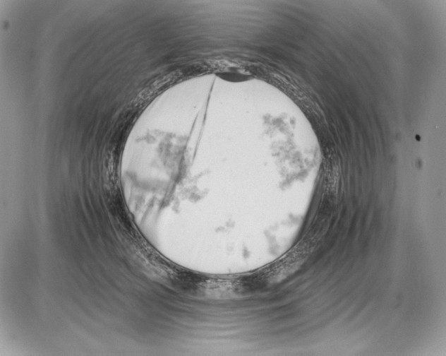 X0000085750418200704131716