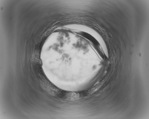 X0000085750421200704131716