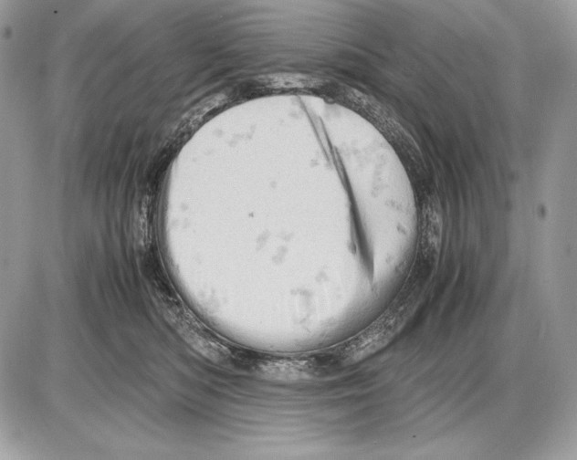 X0000085750422200704131716