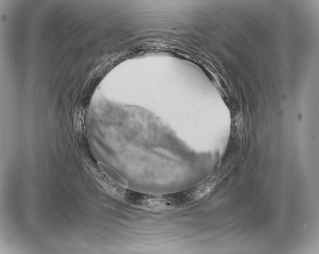 X0000085750423200704131716