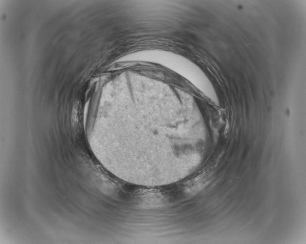 X0000085750424200704131716