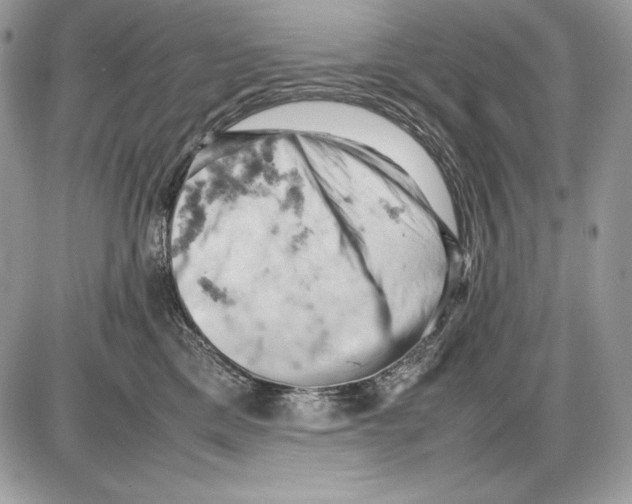 X0000085750425200704131716