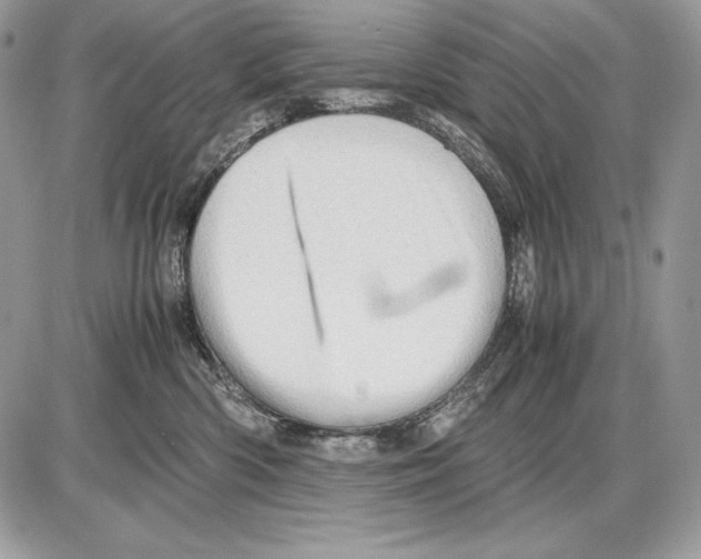 X0000085750426200704131716