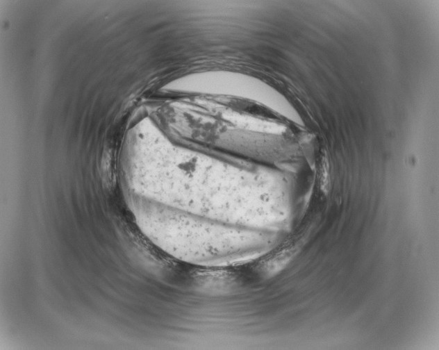 X0000085750428200704131716