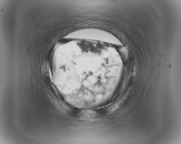 X0000085750429200704131716