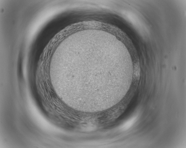 X0000085750431200704131716