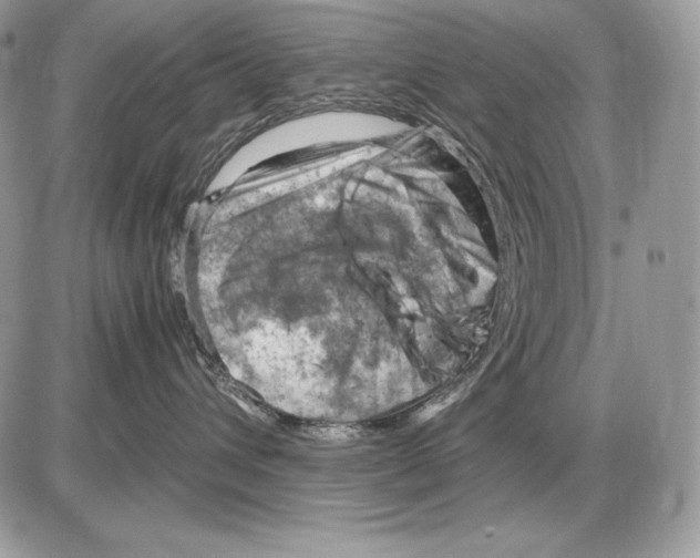 X0000085750432200704131716