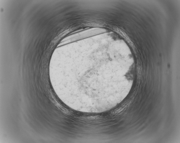 X0000085750433200704131715