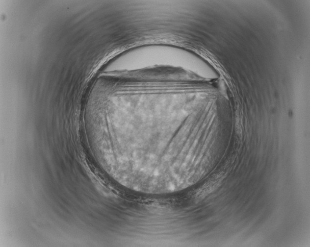 X0000085750434200704131715